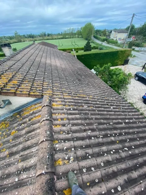 Avant : Toiture chargée de lichens